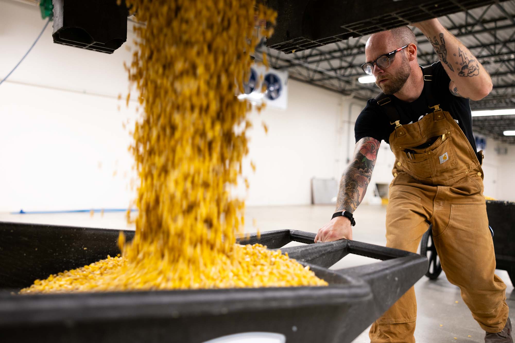 Tattooed distiller in Carhartt overalls pouring a stream of bright yellow malted corn into a tote on the floor malting room at Leopold Brothers Distillery